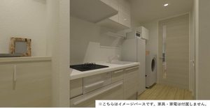 クリプトメリア 103号-4