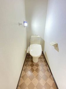 クリプトメリア 201号-6