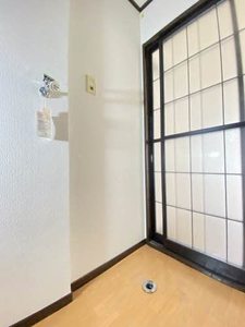 クリプトメリア 201号-7