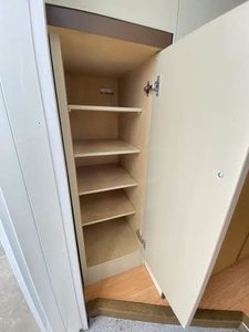 クリプトメリア 201号-9