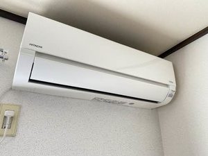 クリプトメリア 201号-10