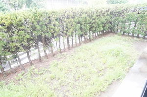 シャトー川平 102号-11