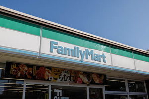 プリーマＫ 103号-13