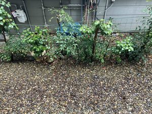 ロフティ小林 102号-10