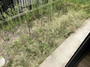 コーポフィオレB 102号-11