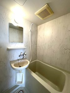 シャトルサンフジ 102号-7