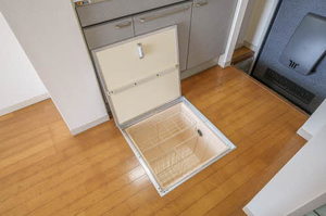 グリーンパレスMOMO 103号-12