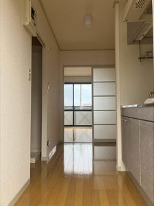 グリーンパレスMOMO 201号-3