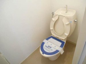 グリーンパレスMOMO 201号-5