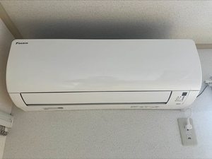 グリーンパレスMOMO 201号-10