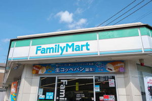 グリーンパレスMOMO 201号-13