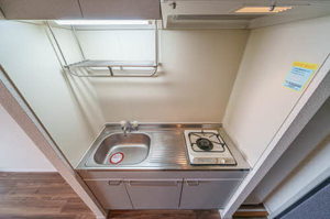 グリーンパレスMOMO 202号-5