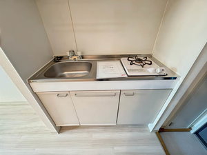 チェリーハイツ 202号-3