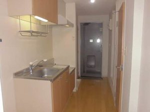 ＳＦフォード 203号-3