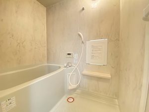 フラッツケイワ 205号-6