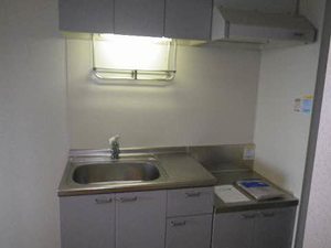 Ｋ’ｓ　Ｃｏｕｒｔ　Ⅱ 201号-4