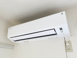 ジュネス文屋Ⅱ 201号-12