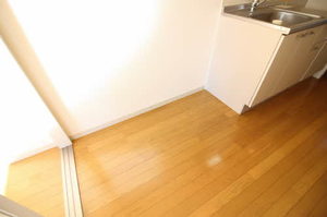 ディアス147 205号-9