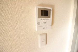 ディアス147 205号-11