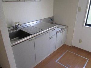 ラ・セレサ 101号-7