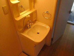 ラ・セレサ 102号-8