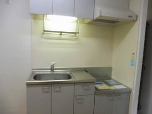 メゾンせきれい 102号-10