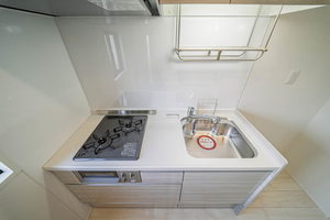 ステラⅡ 102号-4