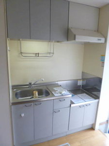 ドエル・エスⅡ 103号-5