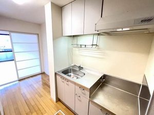 マンハイムⅡ 101号-4