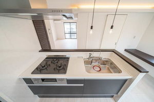 ジュネス高崎 201号-4