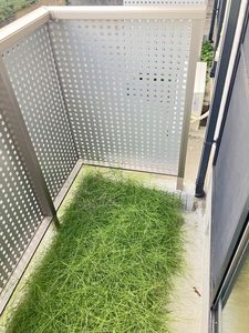 シティ西勝山 103号-11