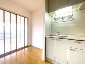 シティ西勝山 205号-5