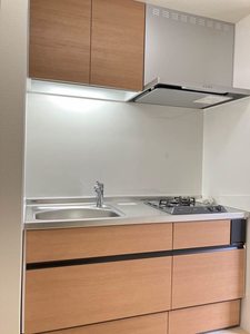 ノーザンライツＡ 101号-8