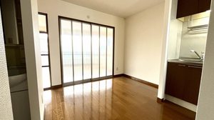 アムールコート 202号-5