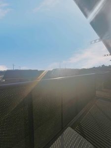 コート・ジ・ハール 203号-11