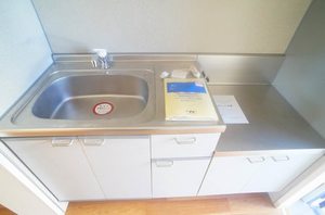 Ｋａｌｍｉａ　Ｐａｌａｃｅ　Ａ 105号-3