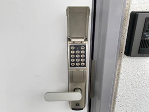 Ｋａｌｍｉａ　Ｐａｌａｃｅ　Ａ 203号-12