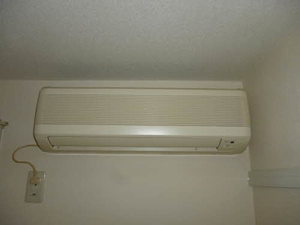 Kalmia Palace B 101号-8
