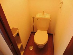 グリーンハウスⅤ 102号-5