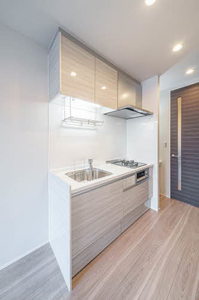 フォンティーヌ 105号-4