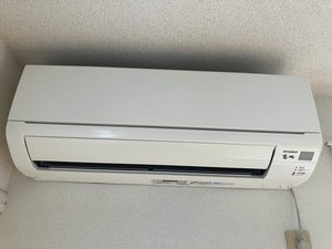 プリマヴェーラ 101号-10