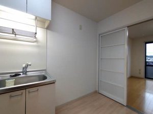 サンハイツセブン 205号-10