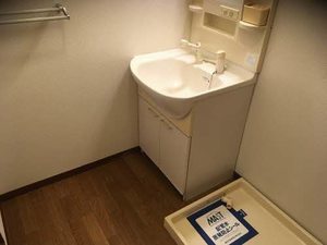 ラフィーネ高玉Ａ 102号-3