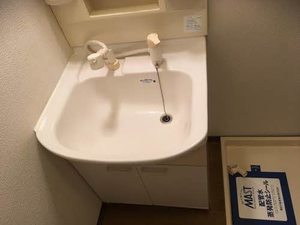 ラフィーネ高玉Ａ 102号-4