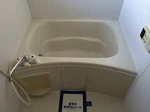 ラフィーネ高玉Ａ 201号-9