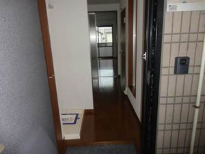 ブッシュ・クローバー 205号-6