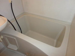 ブッシュ・クローバー 205号-7