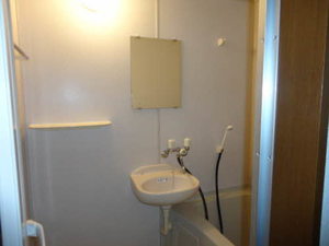 ブッシュ・クローバー 205号-9