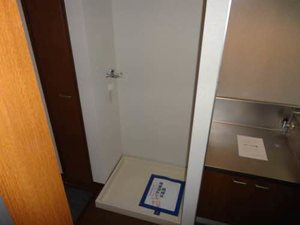 ブッシュ・クローバー 205号-10