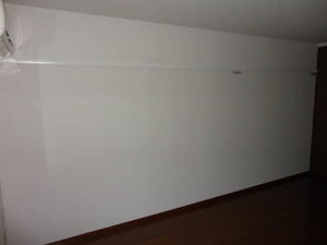 ブッシュ・クローバー 205号-12